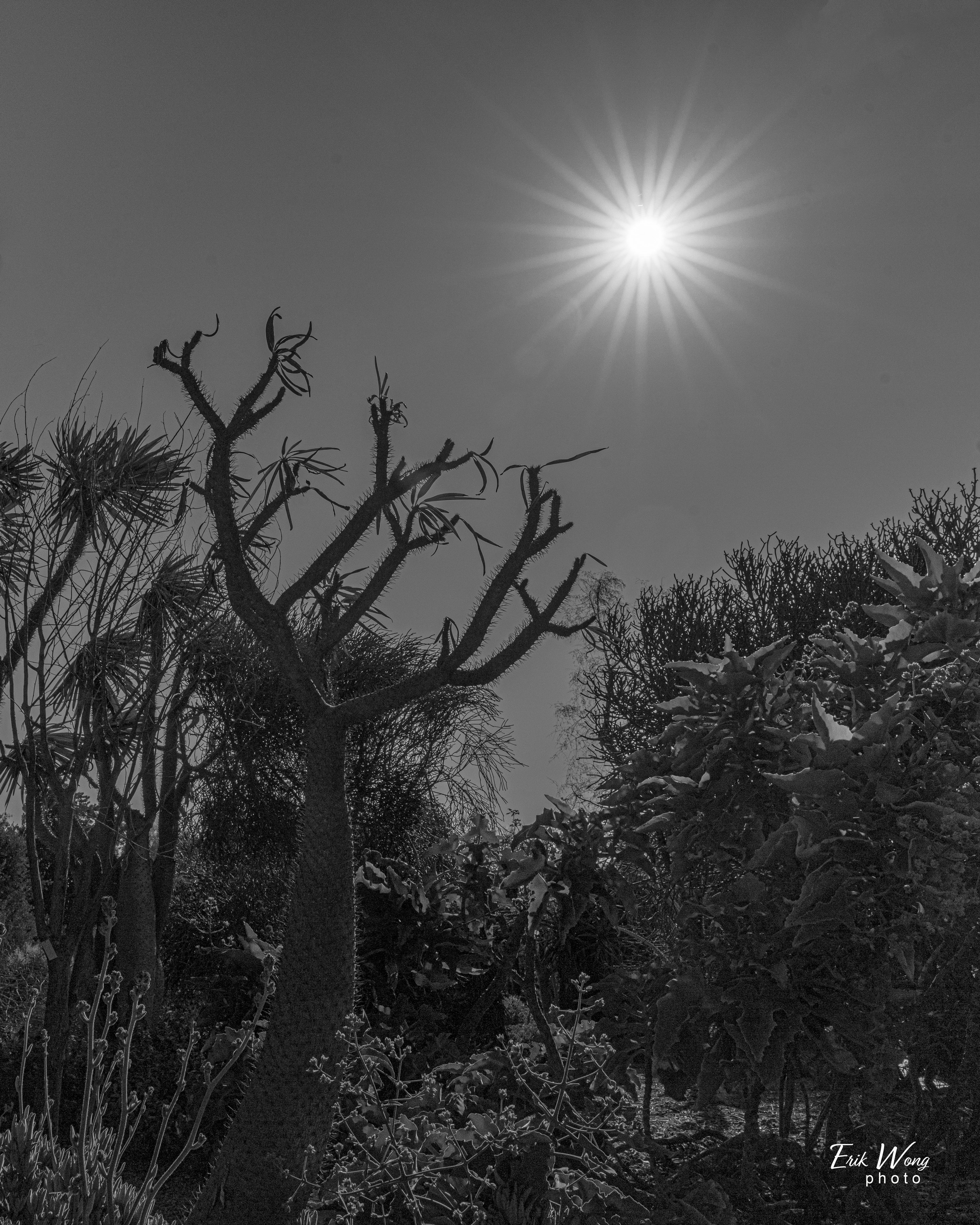 Black & White Photography