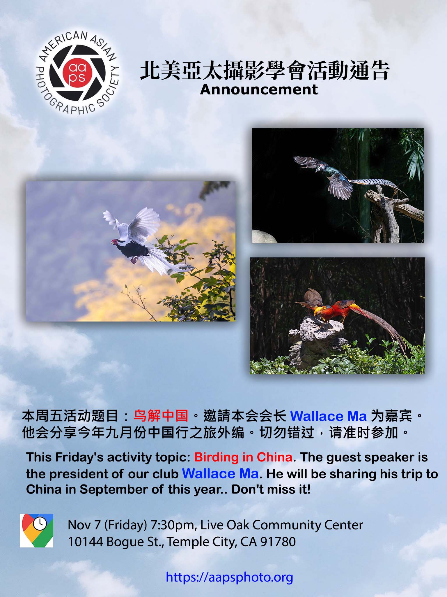 Birding in China