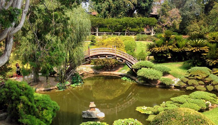 Plants are the best at the Huntington Library