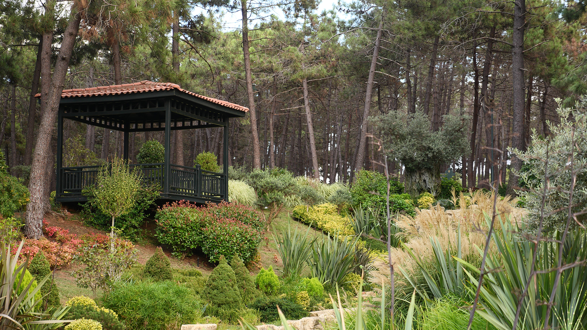 gazebo